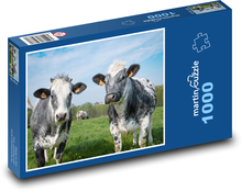 Kravy na pastvinách Puzzle 1000 dielikov - 60 x 46 cm 