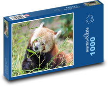 Kleiner Panda Puzzle 1000 Teile - 60 x 46 cm