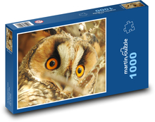 Eared owl Puzzle 1000 pieces - 60 x 46 cm 