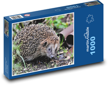 Ježek v přírodě Puzzle 1000 dílků - 60 x 46 cm