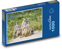 Herd of meerkats Puzzle 1000 pieces - 60 x 46 cm 