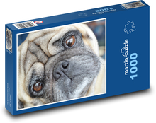 Mops - pies Puzzle 1000 elementów - 60x46 cm