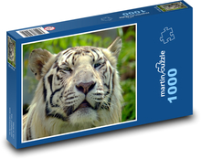 Bengálský tygr Puzzle 1000 dílků - 60 x 46 cm