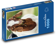 Goat Puzzle 1000 pieces - 60 x 46 cm