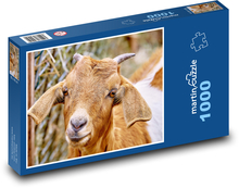 Koza s rohmi Puzzle 1000 dielikov - 60 x 46 cm 