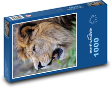 Barbarian lion Puzzle 1000 pieces - 60 x 46 cm 