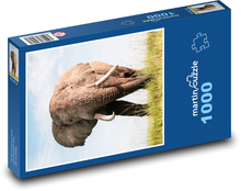 Elephant Puzzle 1000 pieces - 60 x 46 cm