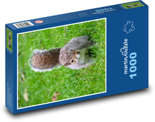 Squirrel - rodent Puzzle 1000 pieces - 60 x 46 cm 