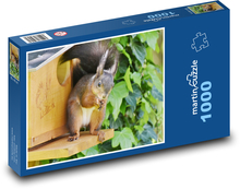 Eichhörnchen - Nagetier Puzzle 1000 Teile - 60 x 46 cm