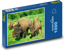 Zubří rodina Puzzle 1000 dílků - 60 x 46 cm