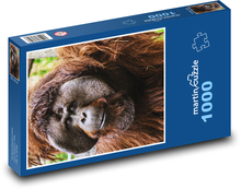 Orangutan - monkey Puzzle 1000 pieces - 60 x 46 cm 