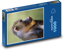 Opica Puzzle 1000 dielikov - 60 x 46 cm