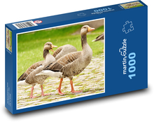 Divoké husy Puzzle 1000 dílků - 60 x 46 cm