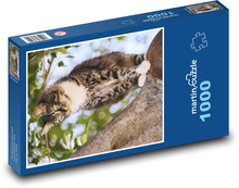 Kočka na stromě Puzzle 1000 dílků - 60 x 46 cm
