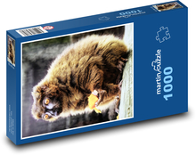 Rotbauchmaki Puzzle 1000 Teile - 60 x 46 cm