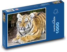 Tiger - Junges Puzzle 1000 Teile - 60 x 46 cm