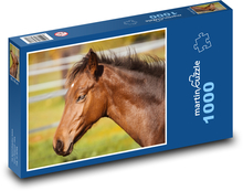 Kôň - žriebä Puzzle 1000 dielikov - 60 x 46 cm 