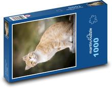 Rostige Katze Puzzle 1000 Teile - 60 x 46 cm