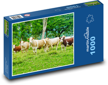 Kühe - Herde Puzzle 1000 Teile - 60 x 46 cm