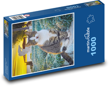 Cat top Puzzle 1000 pieces - 60 x 46 cm 