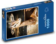 Gazelle Puzzle 1000 pieces - 60 x 46 cm 