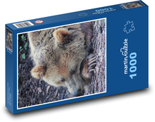 Spící medvěd Puzzle 1000 dílků - 60 x 46 cm