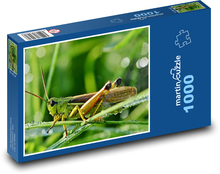 Insekten - Heuschrecken Puzzle 1000 Teile - 60 x 46 cm