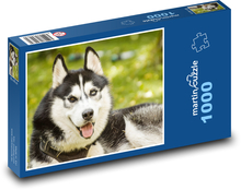 Husky - Hund Puzzle 1000 Teile - 60 x 46 cm