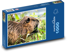 Nutria - gryzoń Puzzle 1000 elementów - 60x46 cm