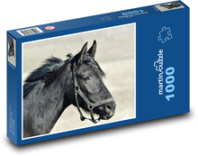 Na čiernom koni! Puzzle 1000 dielikov - 60 x 46 cm 