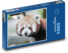Red panda Puzzle 1000 pieces - 60 x 46 cm 