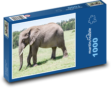 słoń Puzzle 1000 elementów - 60x46 cm