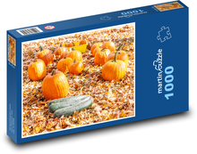 Dynia - jesień Puzzle 1000 elementów - 60x46 cm