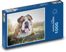 Buldok - pes Puzzle 1000 dielikov - 60 x 46 cm 