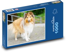 Sheltie - Hund Puzzle 1000 Teile - 60 x 46 cm