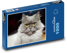 Katze - Kätzchen Puzzle 1000 Teile - 60 x 46 cm