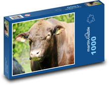 Cow Puzzle 1000 pieces - 60 x 46 cm 