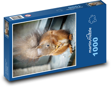 Eichhörnchen. Puzzle 1000 Teile - 60 x 46 cm