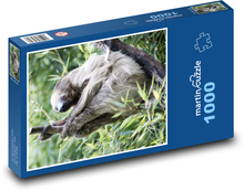 Leňochod Puzzle 1000 dielikov - 60 x 46 cm 