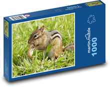 Veverička - arašidy Puzzle 1000 dielikov - 60 x 46 cm 