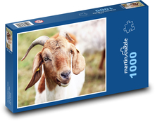Koza Puzzle 1000 dílků - 60 x 46 cm