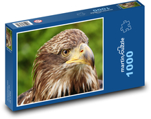 Orel - hlava Puzzle 1000 dílků - 60 x 46 cm