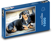 Dog - Dachshund Puzzle 1000 pieces - 60 x 46 cm 