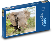 Slon - Afrika Puzzle 1000 dielikov - 60 x 46 cm 