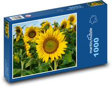 Słonecznik Puzzle 1000 elementów - 60x46 cm