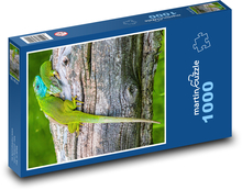 Chameleón - ještěrka Puzzle 1000 dílků - 60 x 46 cm
