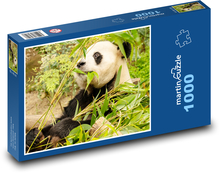 Panda - medvěd Puzzle 1000 - 60x46 cm