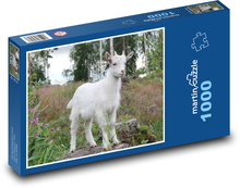 White goat Puzzle 1000 pieces - 60 x 46 cm 