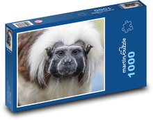 Monkey - Tamarin Puzzle 1000 pieces - 60 x 46 cm 