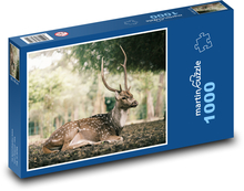 Dzika przyroda Puzzle 1000 elementów - 60x46 cm